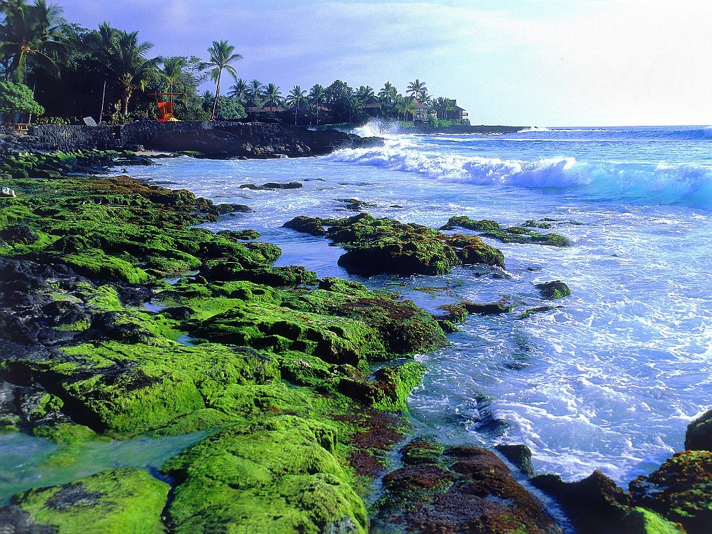 Kona Coast, Big Island, Hawaii